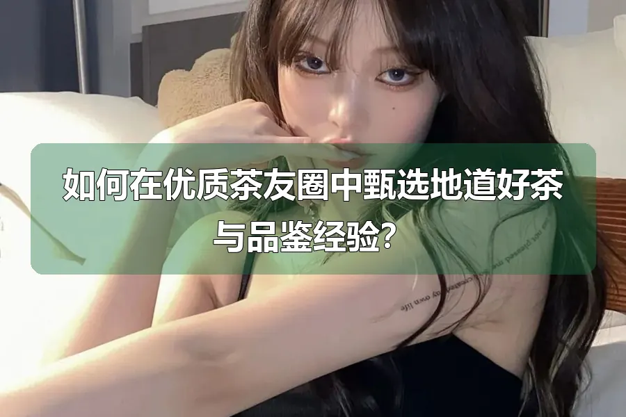 如何在优质茶友圈中甄选地道好茶与品鉴经验?